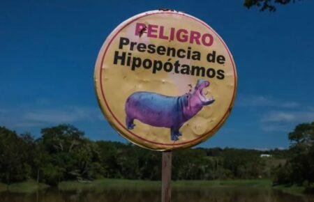 Влада Колумбії може приспати «кокаїнових бегемотів» Пабло Ескобара