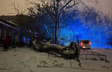 Циклон, що спричинив негоду в Україні, вже пішов, наступний очікується завтра-післязавтра — директор Українського гідрометцентру