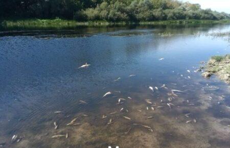 Head of Konotop District Administration: Source of pollution of Seym is in the combat zone