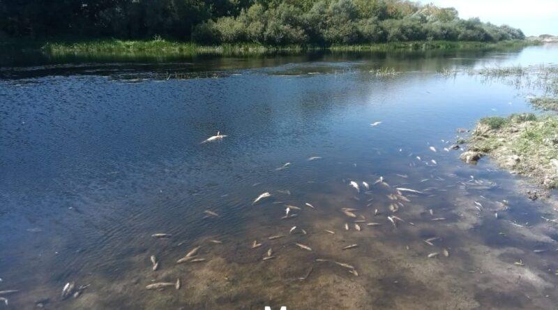 Head of Konotop District Administration: Source of pollution of Seym is in the combat zone