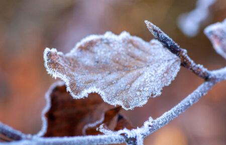 Чи очікувати у жовтні перших заморозків: розповіла синоптикиня