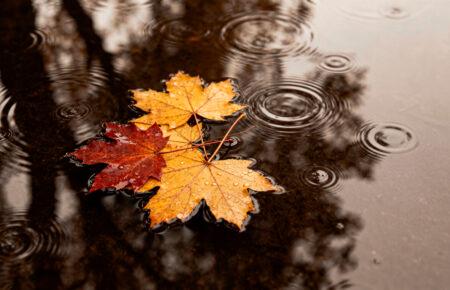 Синоптикиня розповіла, якою буде погода в Україні у перші дні нового тижня