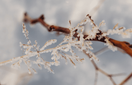 Погода на вихідні 3-4 січня: інтенсивні опади по всій Україні та різке потепління після морозів