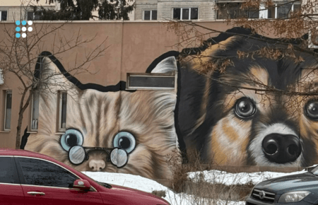 У Києві та області понад 7 тисяч тварин у притулках, містян закликають допомагати (ФОТОРЕПОРТАЖ)