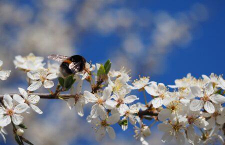 Синоптикиня розповіла, якою буде погода в Україні в понеділок 6 квітня