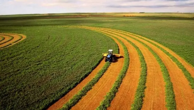 5 років ринку землі: чи варто інвестувати в українську землю