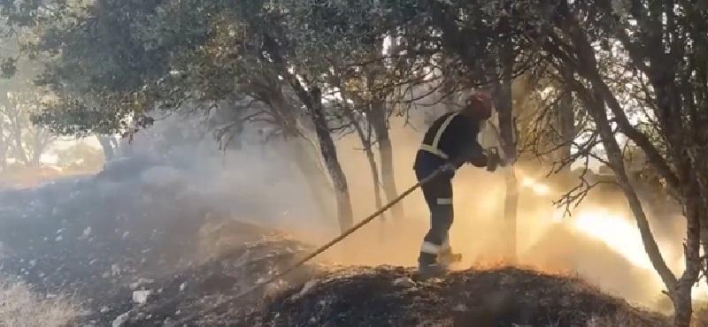 На грецькому острові Парос вирує лісова пожежа