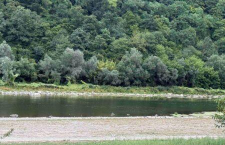 Як виглядає обмілілий Дністер: синоптики опублікували фото