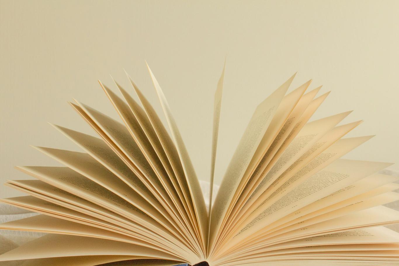 «Розбудити інтерес до української книги»: MEGOGO BOOKS пропонують українцям обрати 35 знакових видань