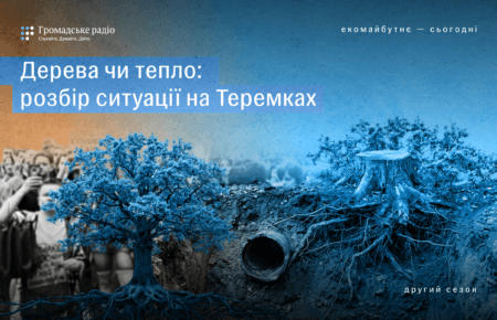 Тепломережа чи дерева: чи можна було уникнути конфлікту на Теремках