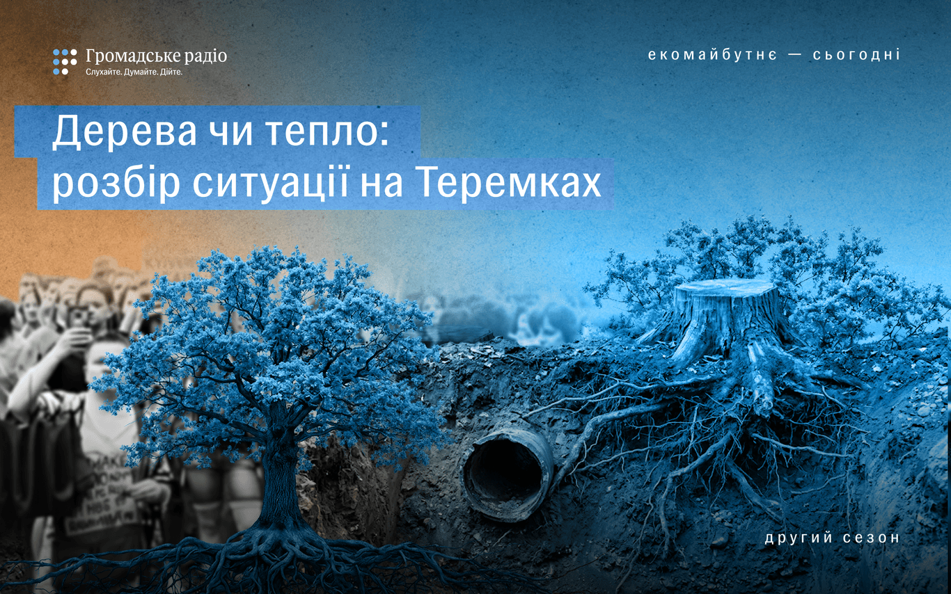 Тепломережа чи дерева: чи можна було уникнути конфлікту на Теремках